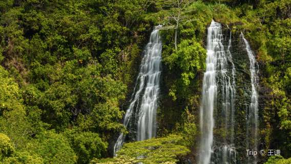 'Opaeka'a Falls
