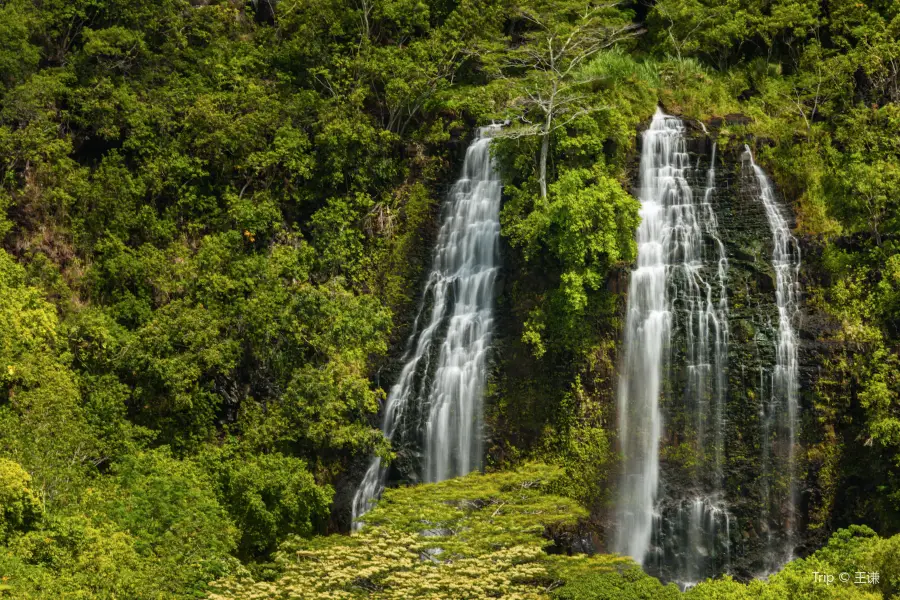 Cascadas de ʻŌpaekaʻa