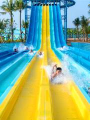 Wanda Water Park