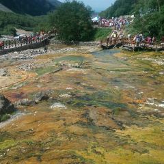 温泉鸡蛋小摊 User Photo