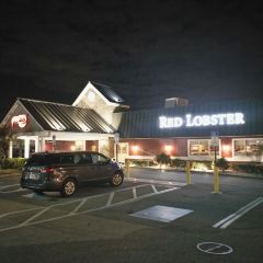 Red Lobster User Photo
