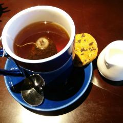 Bluefrog (Disney Town) User Photo