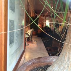 The Elephant House User Photo