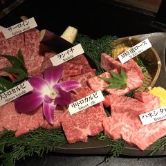 Matsusakagyu Yakiniku M HOZENJI YOKOCHO User Photo