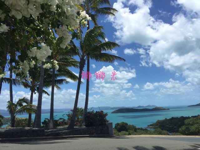 漢密爾頓島