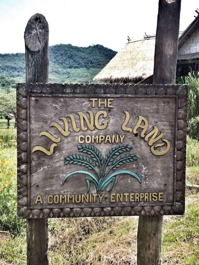 CNY Living History Center