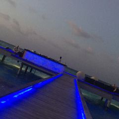 Seabar User Photo