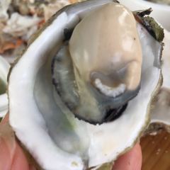 农夫码头海鲜排档(南澳店) User Photo