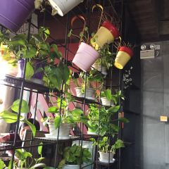 揚州獅子樓（東關街店）張用戶圖片