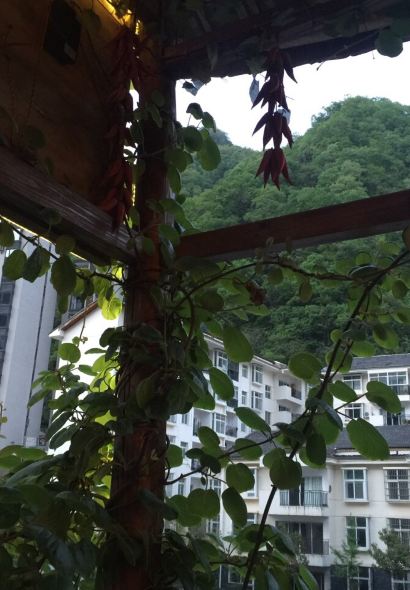 农家土菜老煨锅(木鱼镇店)