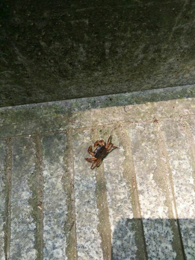 치산 관광단지