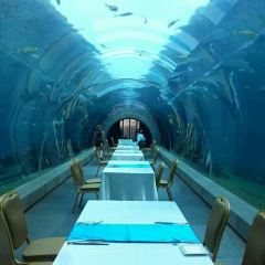 Aqua - Aquarium Restaurant User Photo