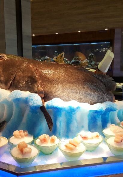 HAI DING HUI HAI XIAN ZI ZAO