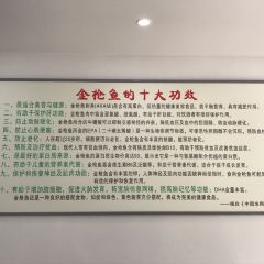 一品鲜金枪鱼饺子馆(陵县路店) User Photo