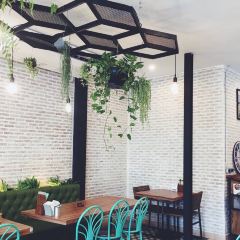 The Salad Concept User Photo