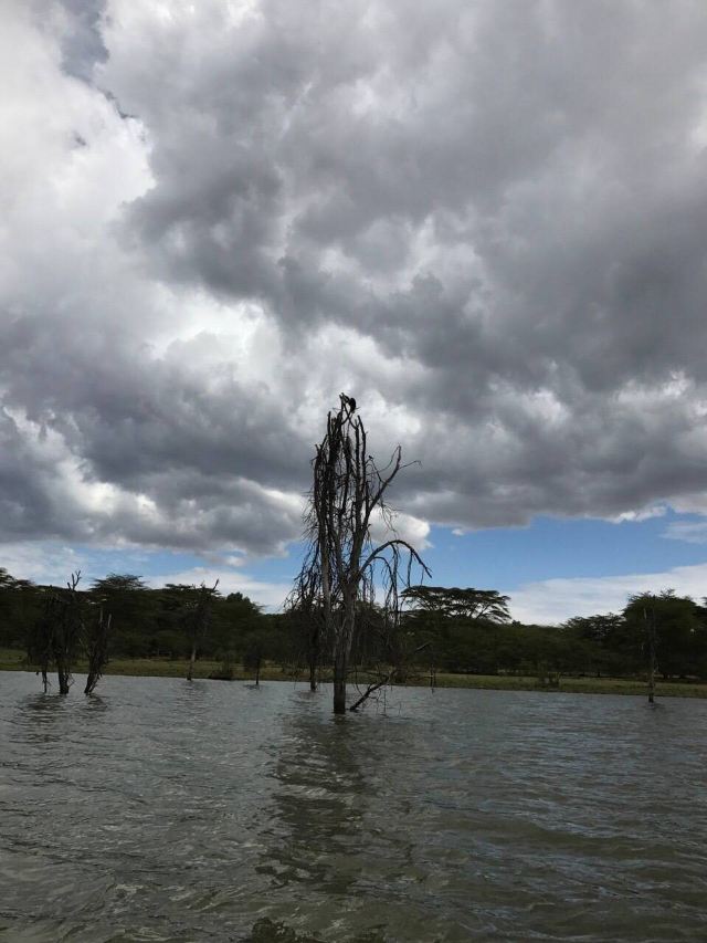Lake Bogoria