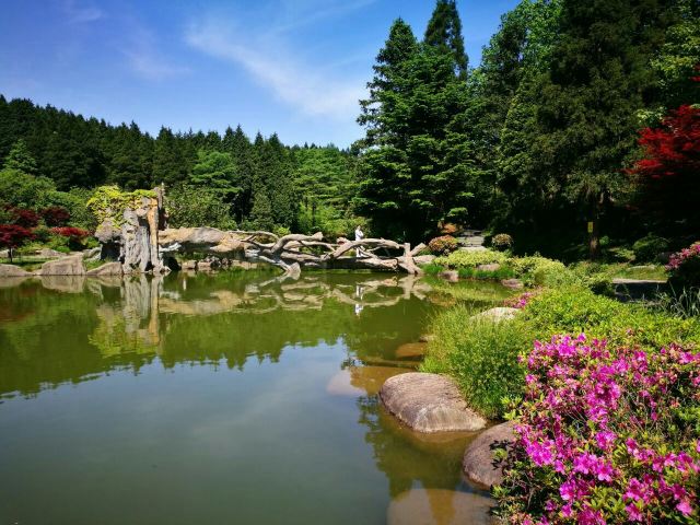 Yangtian Lake Scenic Area