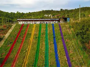 武功山滑草場