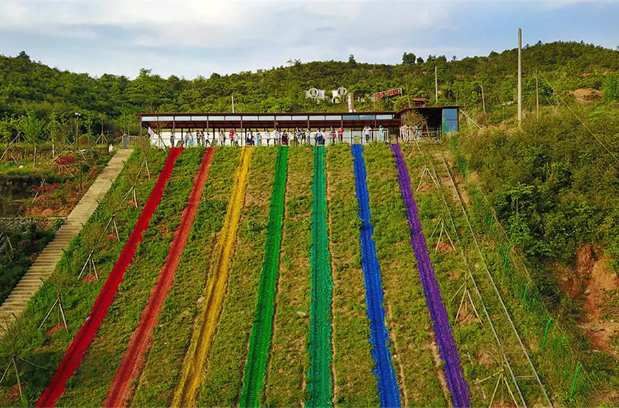 Wugong Mountain Grass Skiing Resort