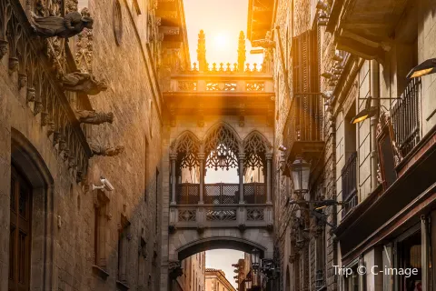 Barri Gòtic (Gotisches Viertel)