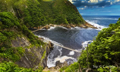 Tsitsikamma National Park