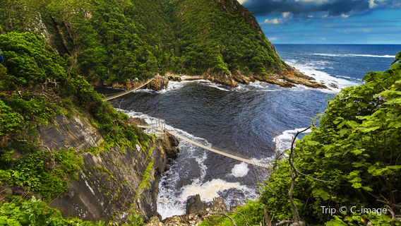 Parc national de Tsitsikamma