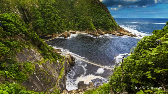 Tsitsikamma National Park