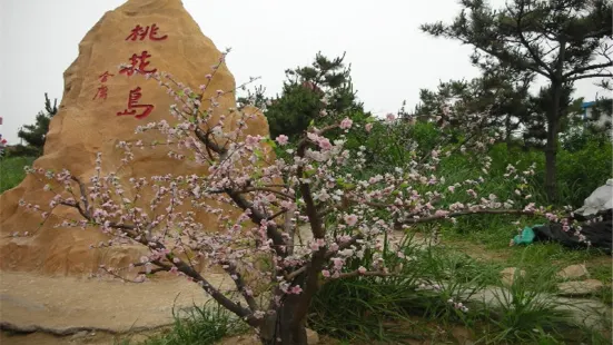 Taohua Island Customs Park