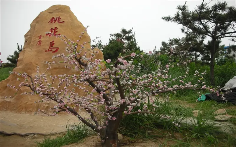 Taohua Island Customs Park