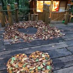 Kohi Morinotokei User Photo