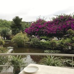 騰沖官房大飯店·陽溫暾自助餐廳張用戶圖片