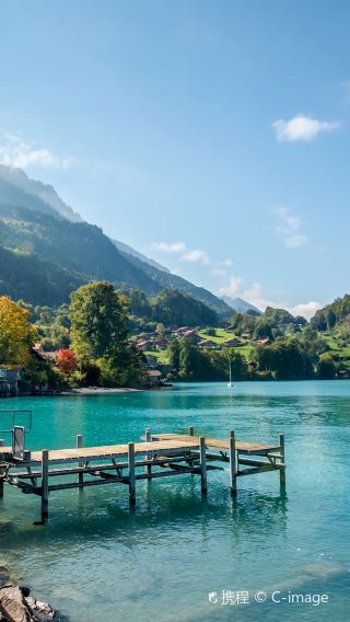 Lake Brienz + Hoheweg + Jungfraujoch - Top of Europe + Sightseeing Museum + Schynige Platte