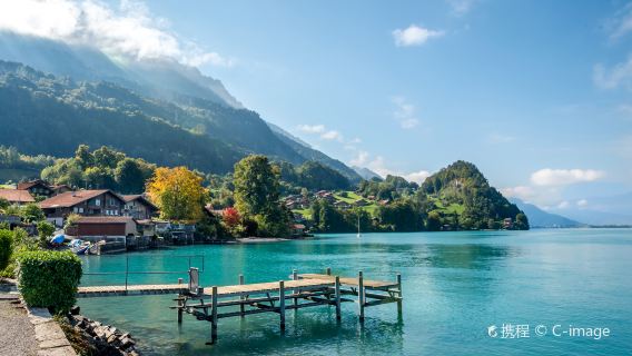 Lake Brienz + Hoheweg + Jungfraujoch - Top of Europe + Sightseeing Museum + Schynige Platte