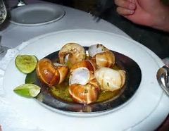 Bellini Restaurante Giratorio張用戶圖片