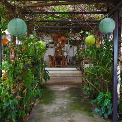 Patty's Secret Garden張用戶圖片
