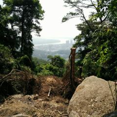 SHAN SHUI DOU FU HUA User Photo