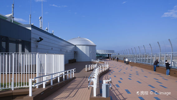 橫濱日遊