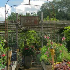 Petersham Nurseries Restaurant User Photo