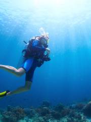 Zhongqian Diving World