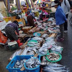 Chungmu Hwetjip User Photo