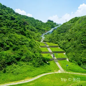 望幽 谷