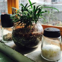Xiao Man (Liu Zhuang Branch) User Photo