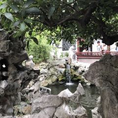 Shanghai You Garden 上海豫园 User Photo