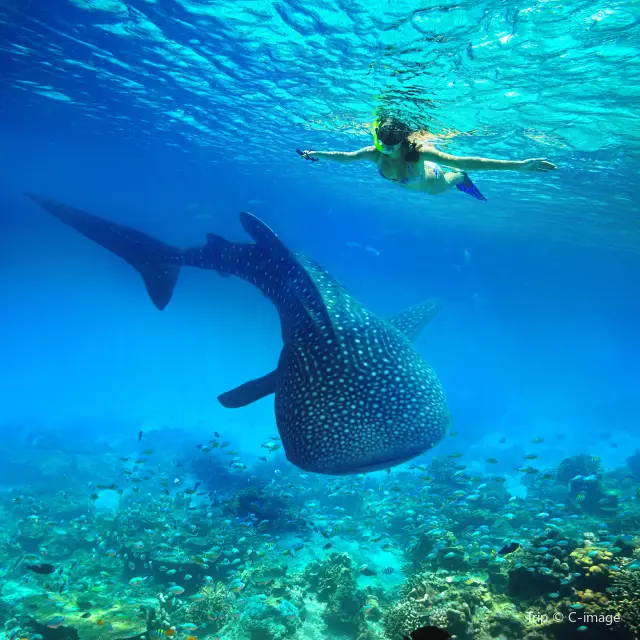 Scuba Diving in Krabi