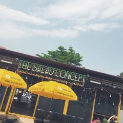 The Salad Concept User Photo