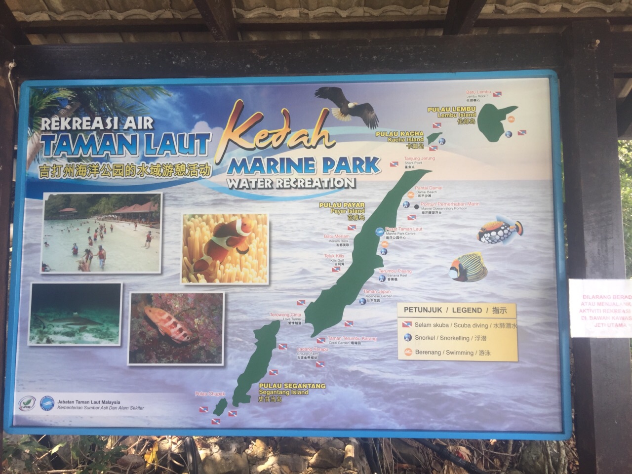 Paya Island Diving travel guidebook u2013must visit attractions in 
