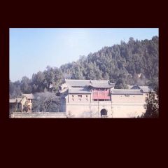 左家泡馍馆(天宝路店) User Photo