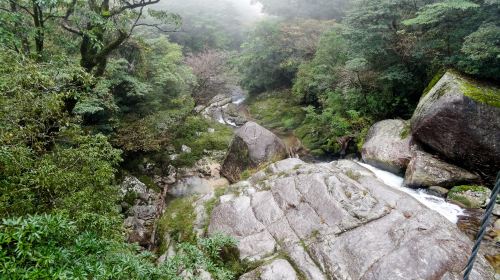 白谷雲水峽