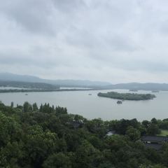 雷峰塔·藕香居餐厅 User Photo