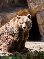 Zoologico de Berlín